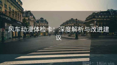 风车动漫体检卡：深度解析与改进建议