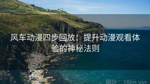 风车动漫四步回放：提升动漫观看体验的神秘法则