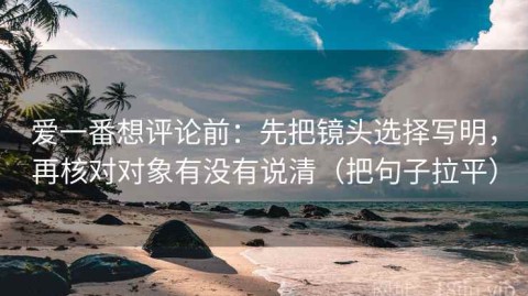 爱一番想评论前：先把镜头选择写明，再核对对象有没有说清（把句子拉平）