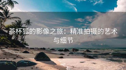 茶杯狐的影像之旅：精准拍摄的艺术与细节