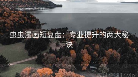 虫虫漫画短复盘：专业提升的两大秘诀