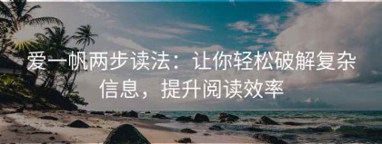 爱一帆两步读法：让你轻松破解复杂信息，提升阅读效率