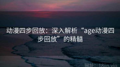 动漫四步回放：深入解析“age动漫四步回放”的精髓