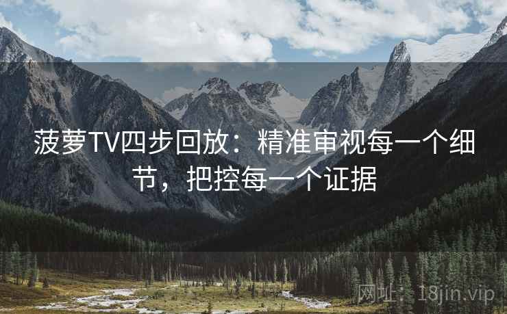 菠萝TV四步回放：精准审视每一个细节，把控每一个证据