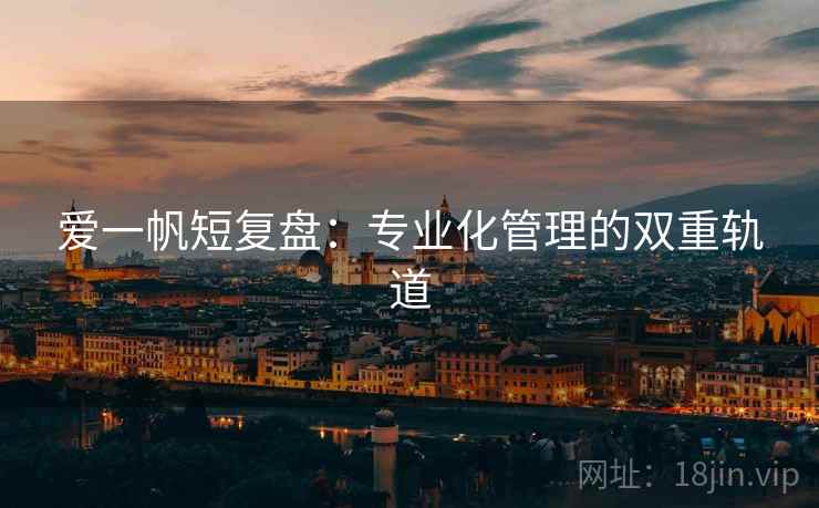爱一帆短复盘:专业化管理的双重轨道 爱一帆短复盘:专业化管理的双重轨道